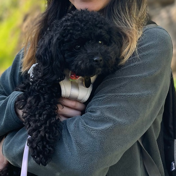 Meet your Posher, Michelle - Picture 1 of 1